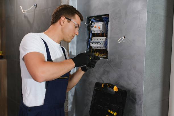 Best Electric Panel Repair  in Moose Lake, MN